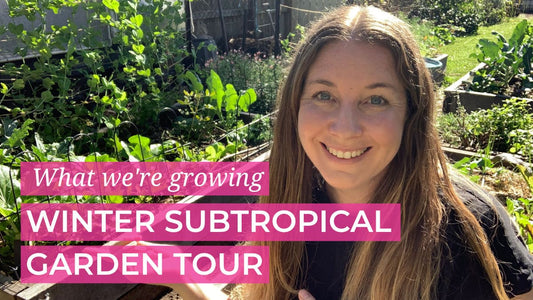 Winter Subtropical Veggie Patch Tour