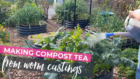How to Make Worm Casting Compost Tea (Vermicompost Inoculant) for Your Garden