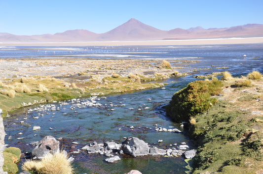 Lakes and Flamingos