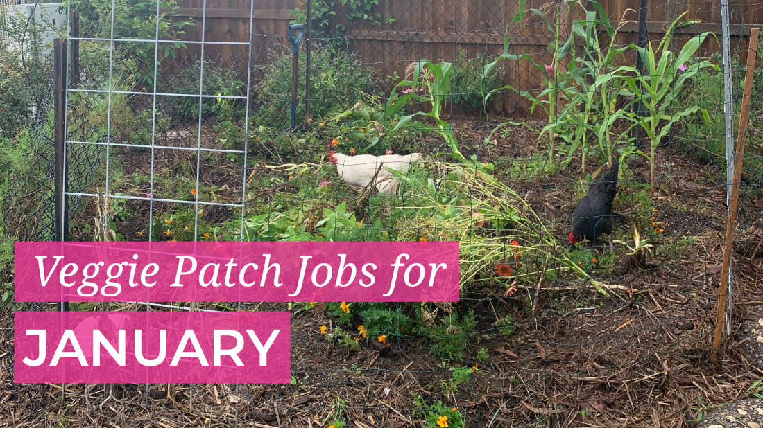 January Veggie Patch Jobs