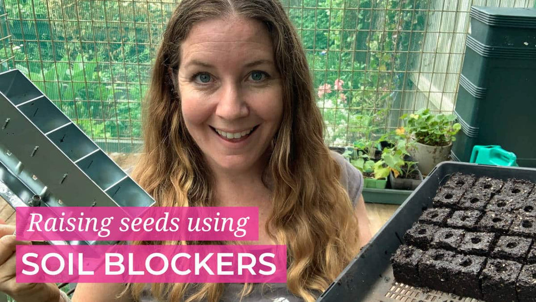 Raising Seeds using soil blockers