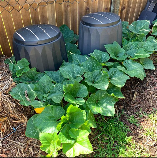 How we Compost in the suburbs