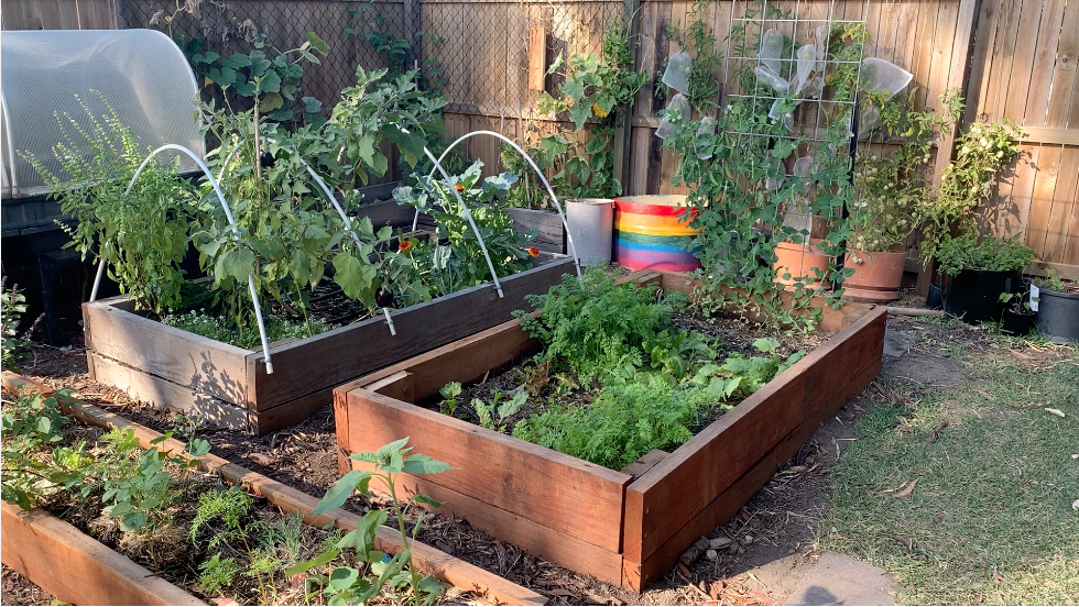 Our new Raised Garden Bed