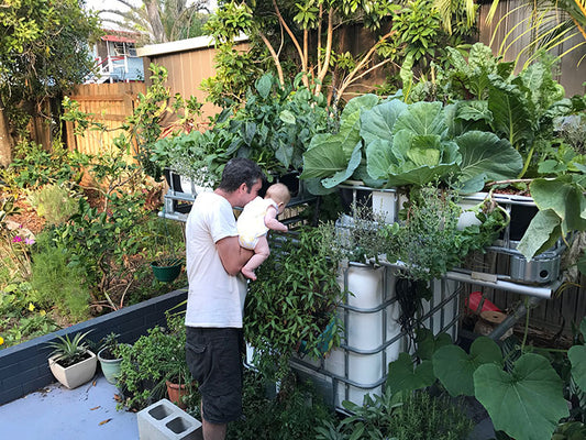 Our Aquaponics System