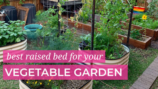 Best raised bed for your Veggie Garden in Australia