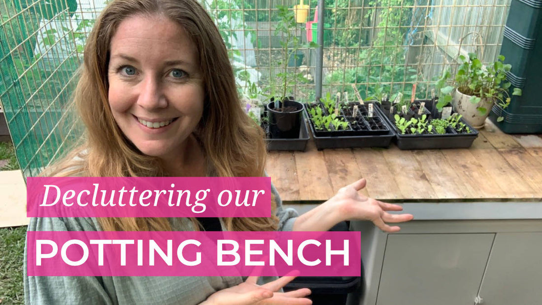 Setting up a seed raising station