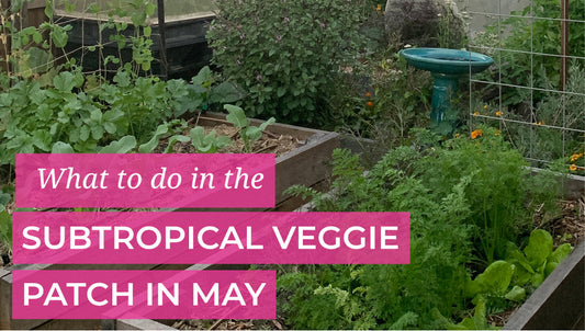 What to do in the garden in May