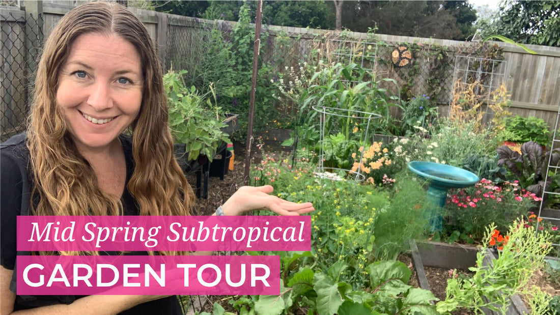 October Spring Subtropical Garden Tour