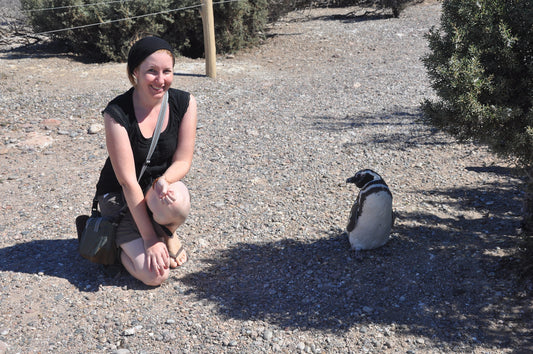 Punta Tombo Argentina Magellanic Penguins