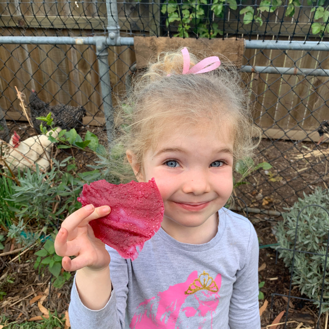 Pear & Rosella Fruit Leather