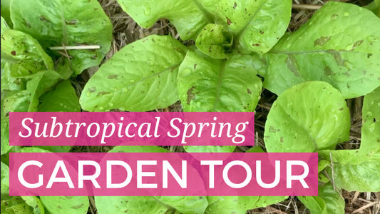 Subtropical Spring Garden Jobs