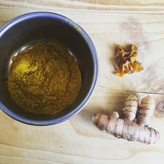 turmeric harvest