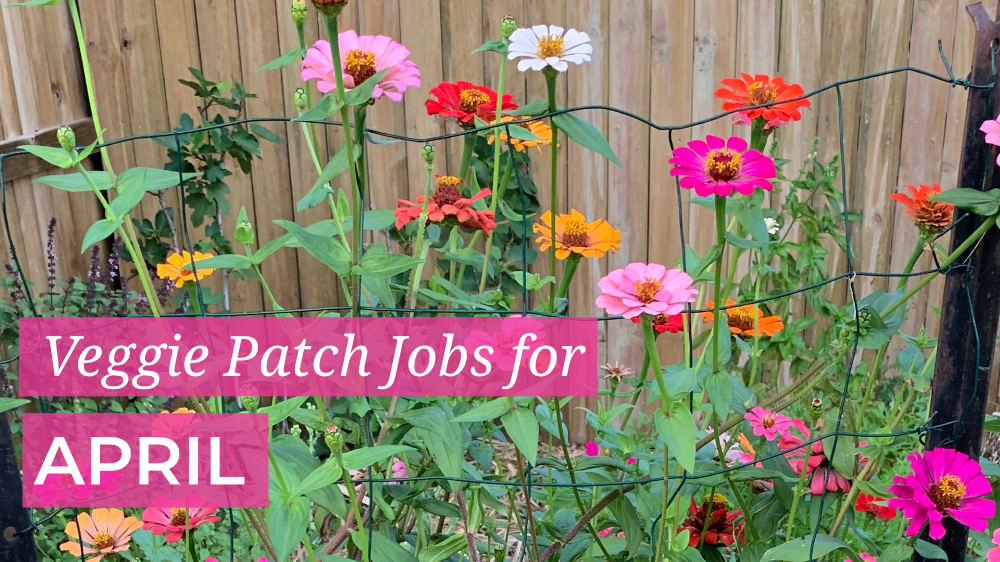 Veggie Patch Jobs April