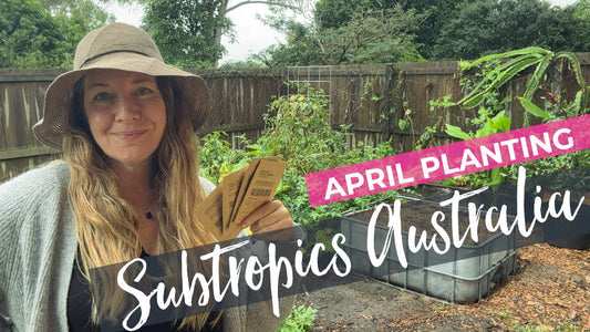 What we're planting in April