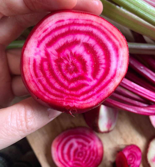 Beetroot 'Chioggia' Seeds