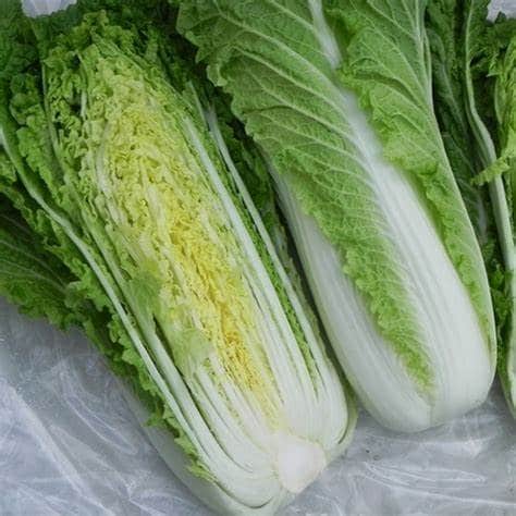 Chinese Cabbage 'Michihili' Seeds