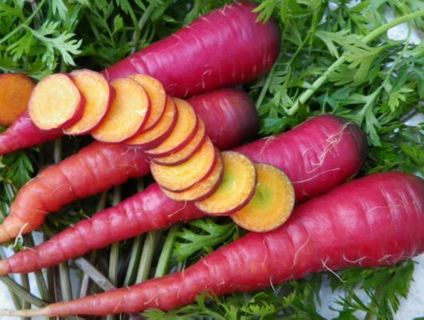 Cosmic Purple Carrot Seeds