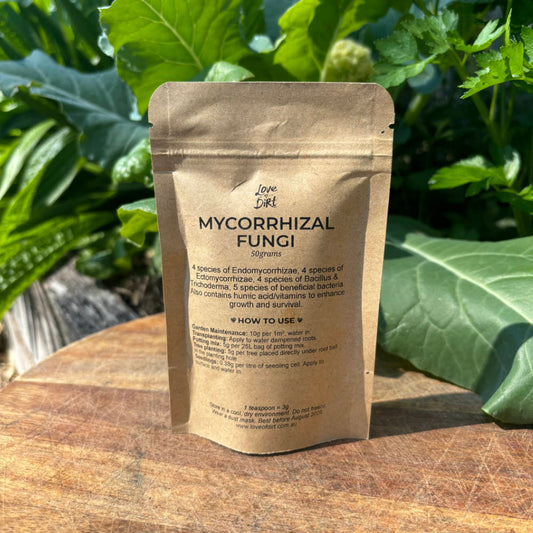 Mycorrhizal Fungi 30g
