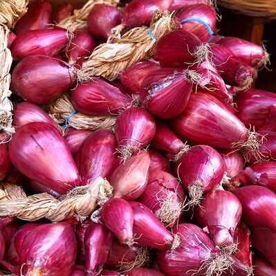 Onion 'Long Tropea Red' Seeds