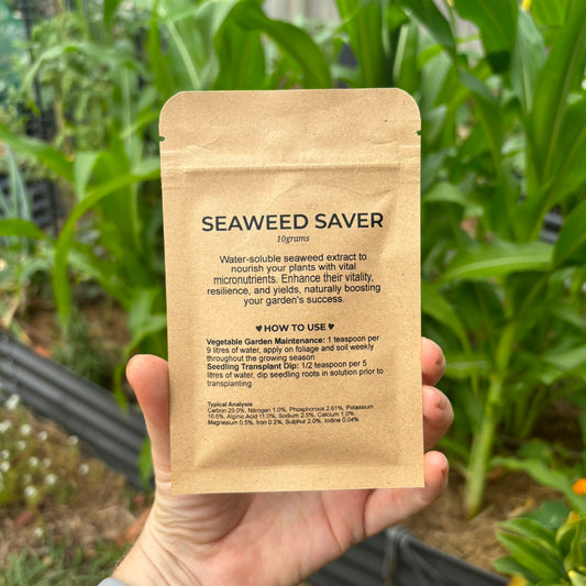 Seaweed Extract 10g Sample