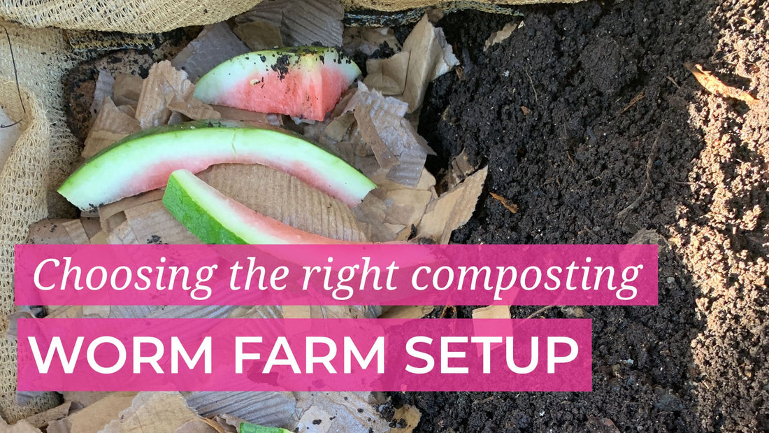 Best Composting Worm Farm Setups