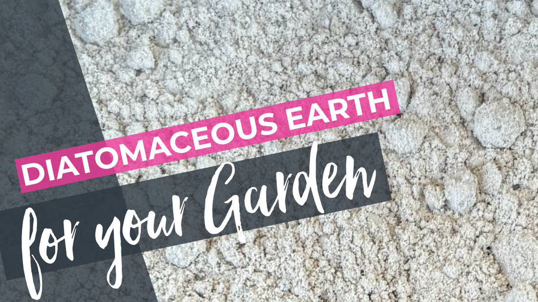 Diatomaceous Earth in Your Garden