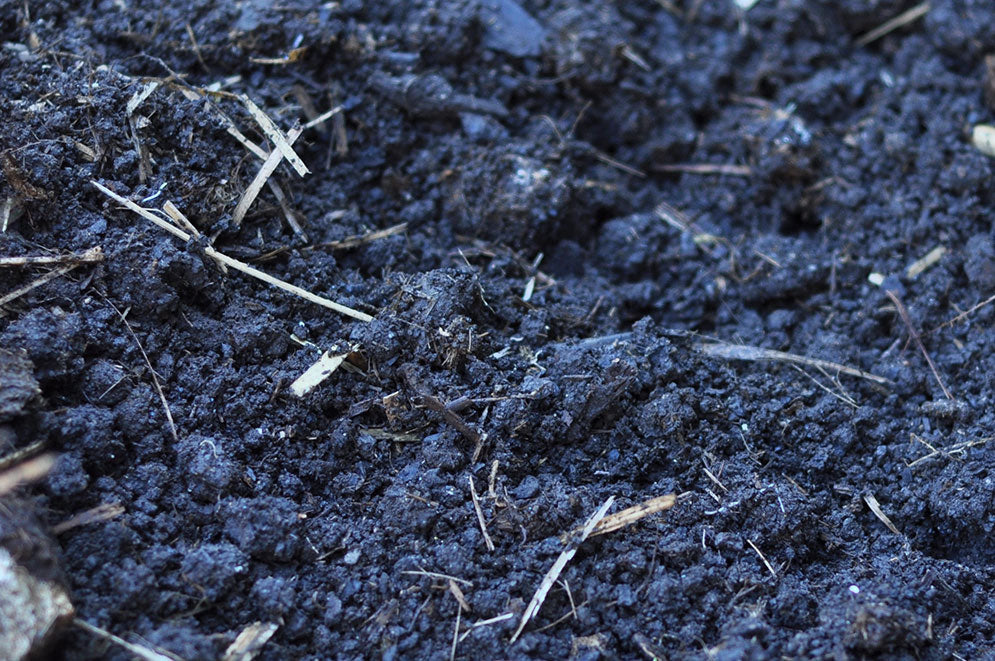 Ingredients to boost your veggie patch soil