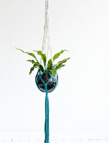 Green Thumb Design Love : Hanging Pots
