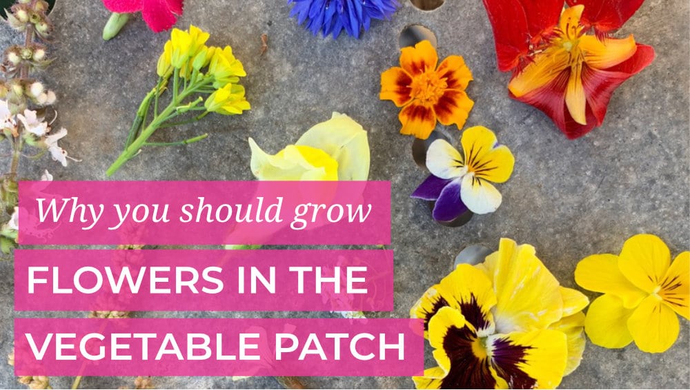 Why you should grow flowers in the vegetable patch