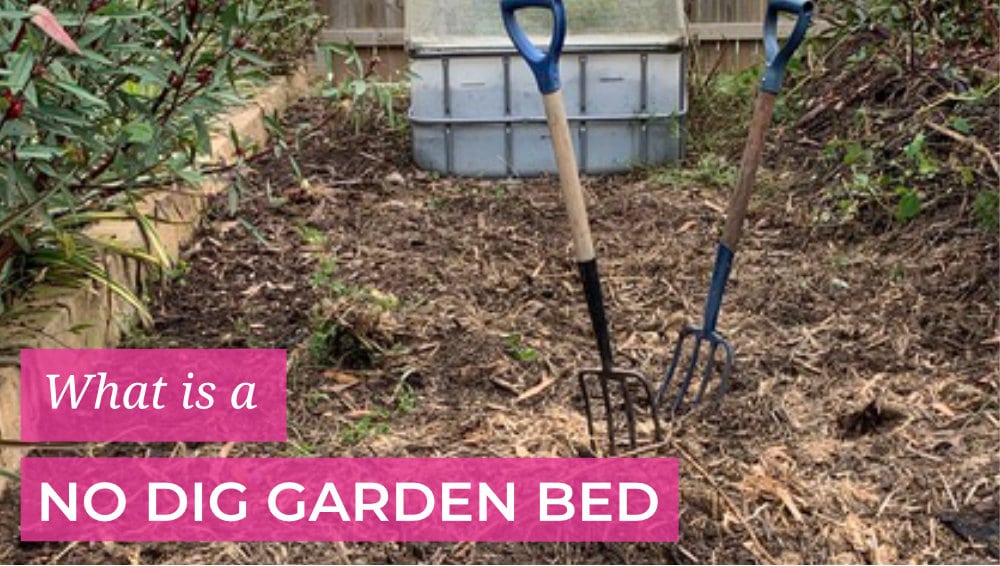 What is a no dig garden bed