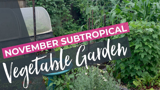 Thriving in November: A Guide to Vegetable Gardening in Subtropical Australia