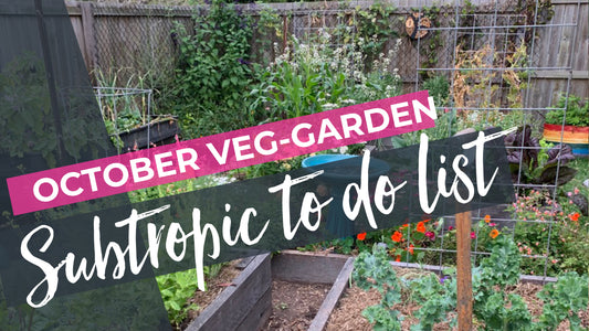October Subtropical Veg Garden To-Do List