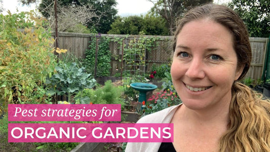 Pest Strategies for Organic Gardeners