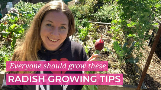 Radish Growing Tips