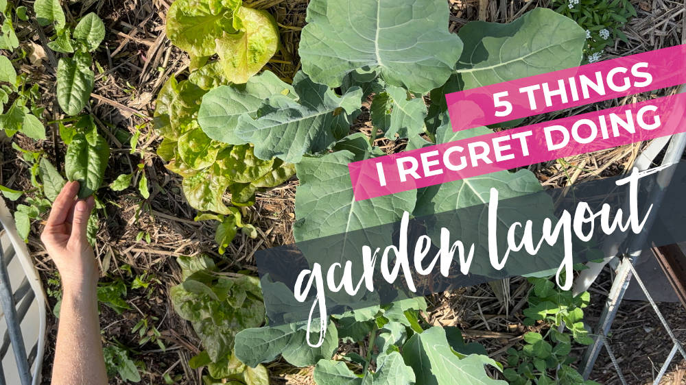 5 Things I regret with my Garden Layout