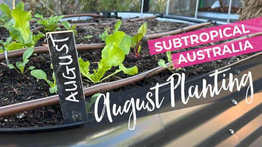 What we're planting in August