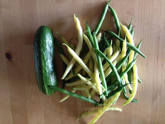 Week 7 Harvest Butter beans french beans cucumbers