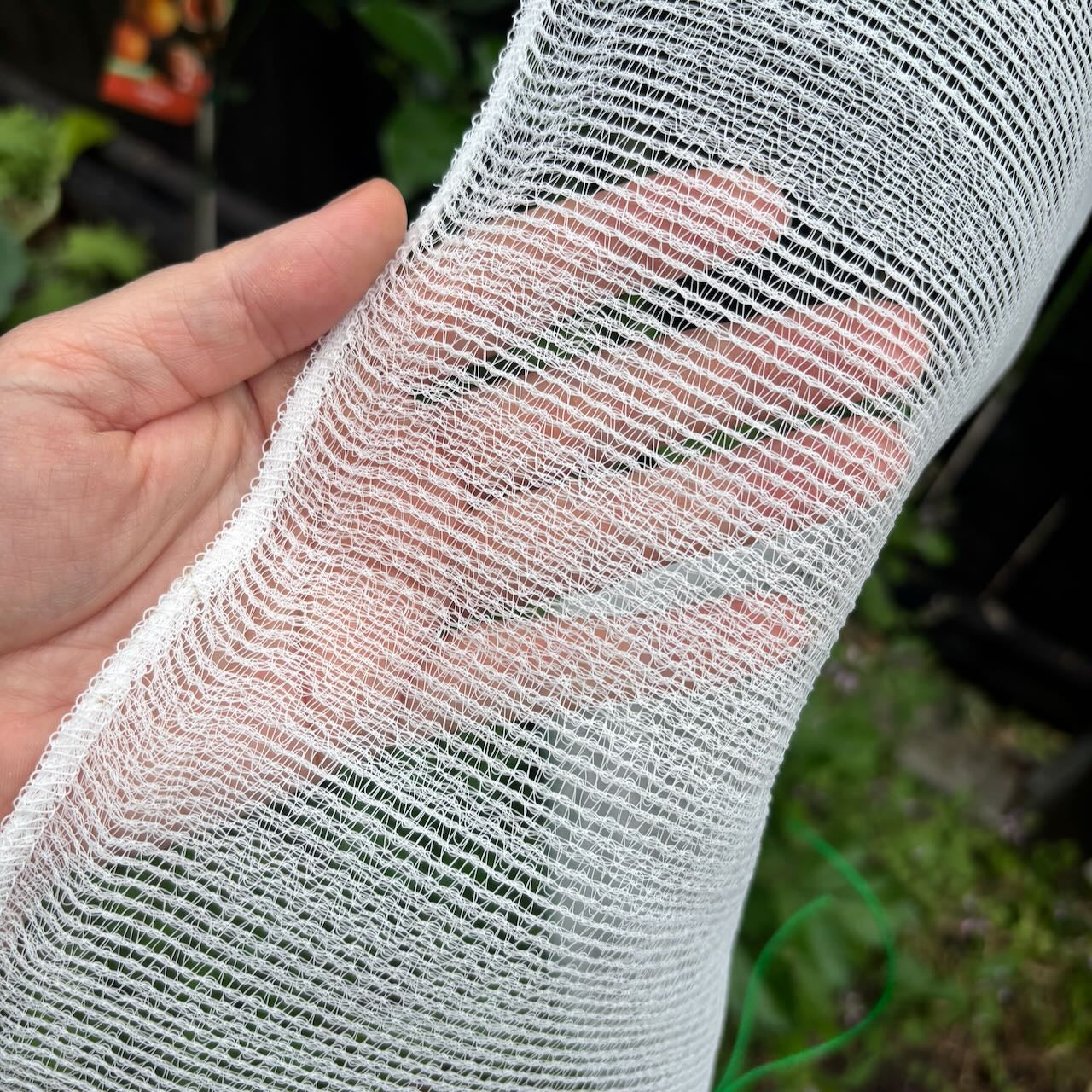 Fruit Protection Exclusion Bags