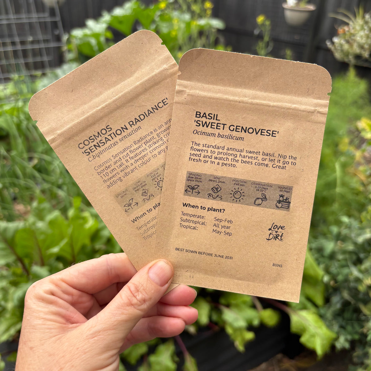 Seed Packets