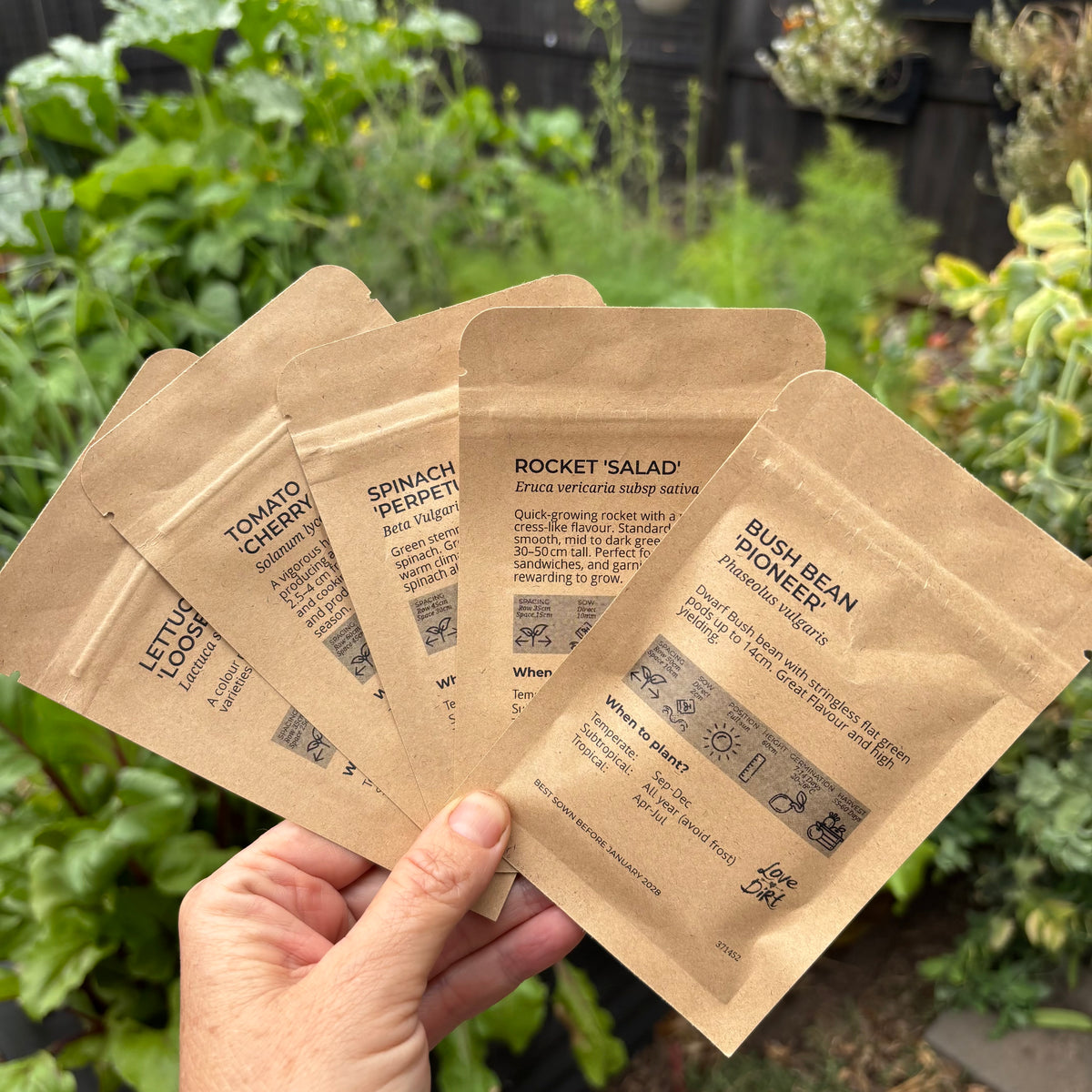 A hand holds four small brown kraft paper pouches of salad seeds outdoors in a garden setting with green plants in the background. The front pouch is labeled 'ROCKET SALAD' and shows other flavor options fanned behind it.