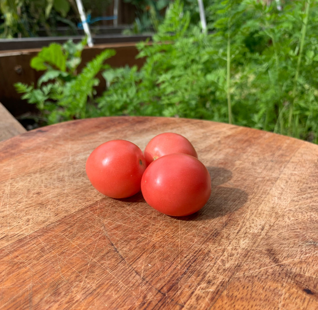 Tomato 'Thai Pink Egg' Seeds