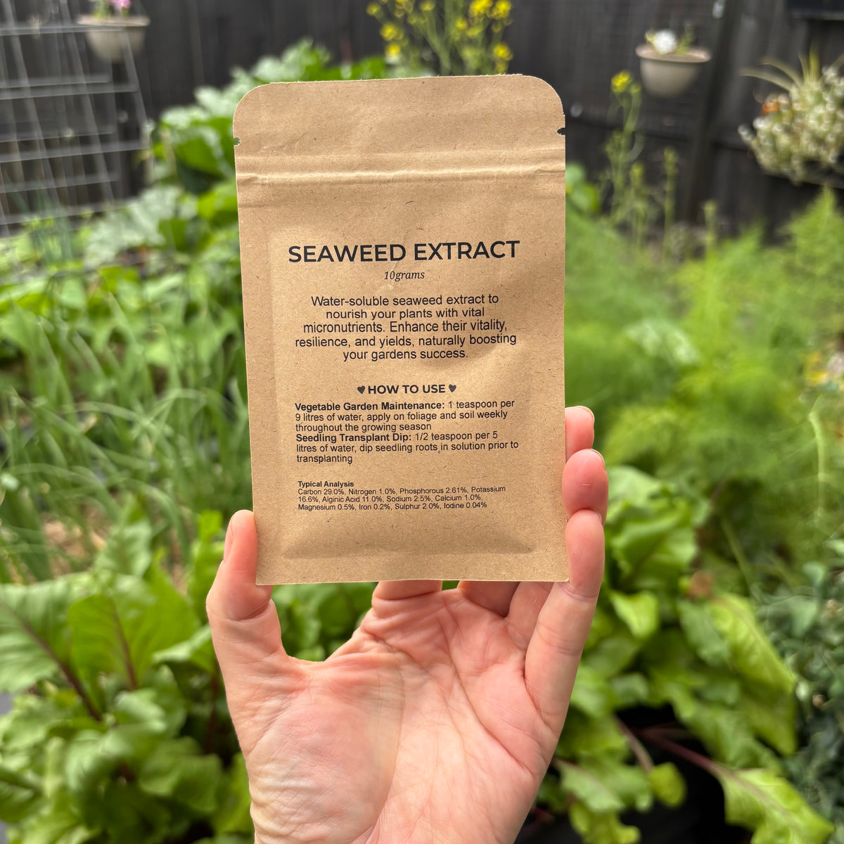 A hand holds a small brown kraft paper pouch labeled 'SEAWEED EXTRACT' in front of a blurred garden background with green plants.