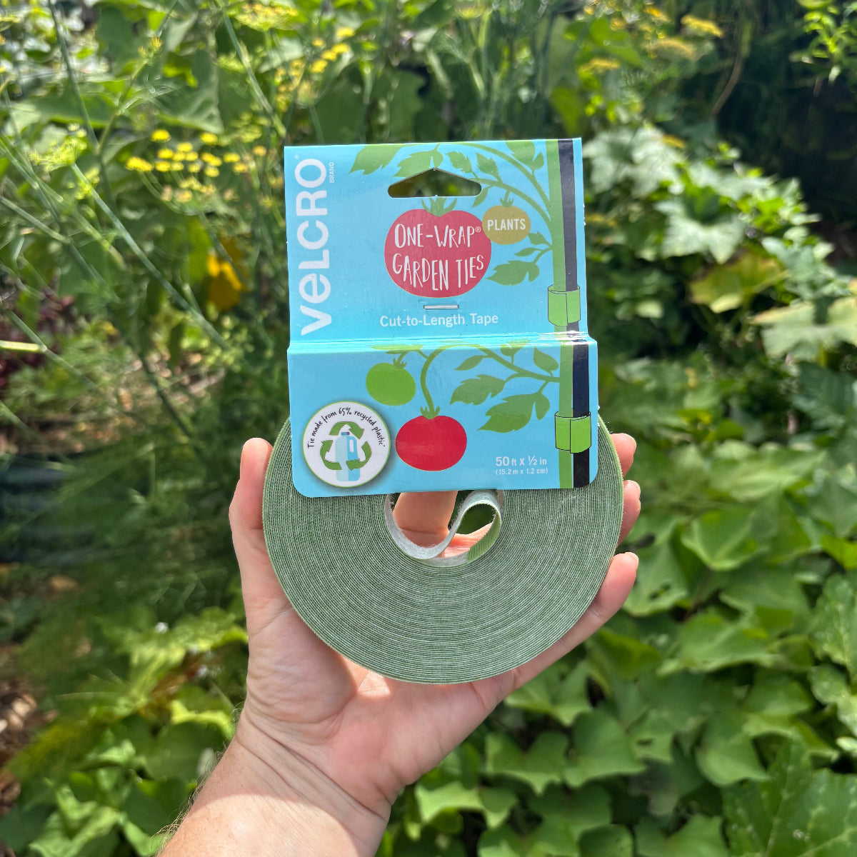 Hand holding a roll of green Velcro one-way garden tie against a background of green plants.