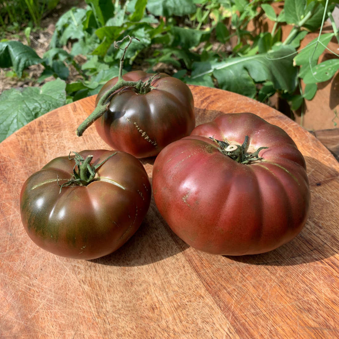 Black Krim Tomato Seeds buy online