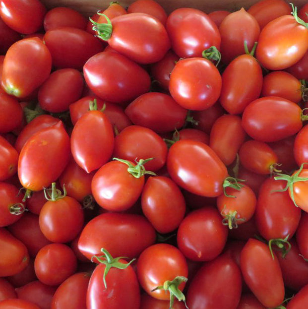 Tomato 'Cherry Roma' Seeds – Love of Dirt