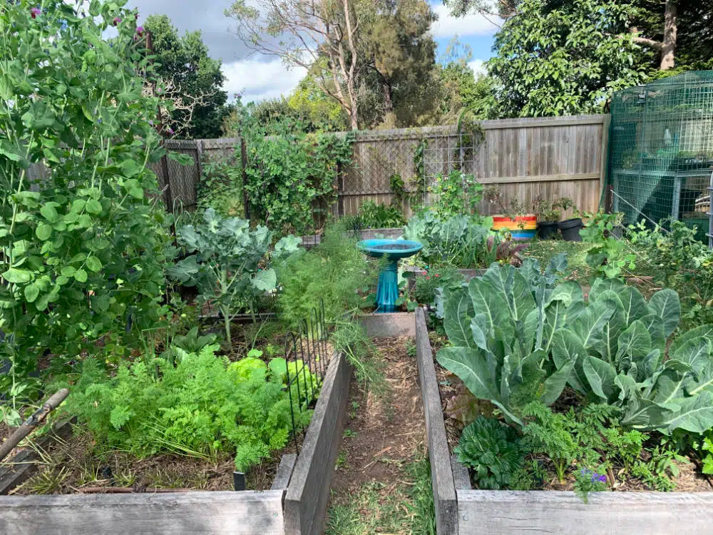 Organic Kitchen Garden Example